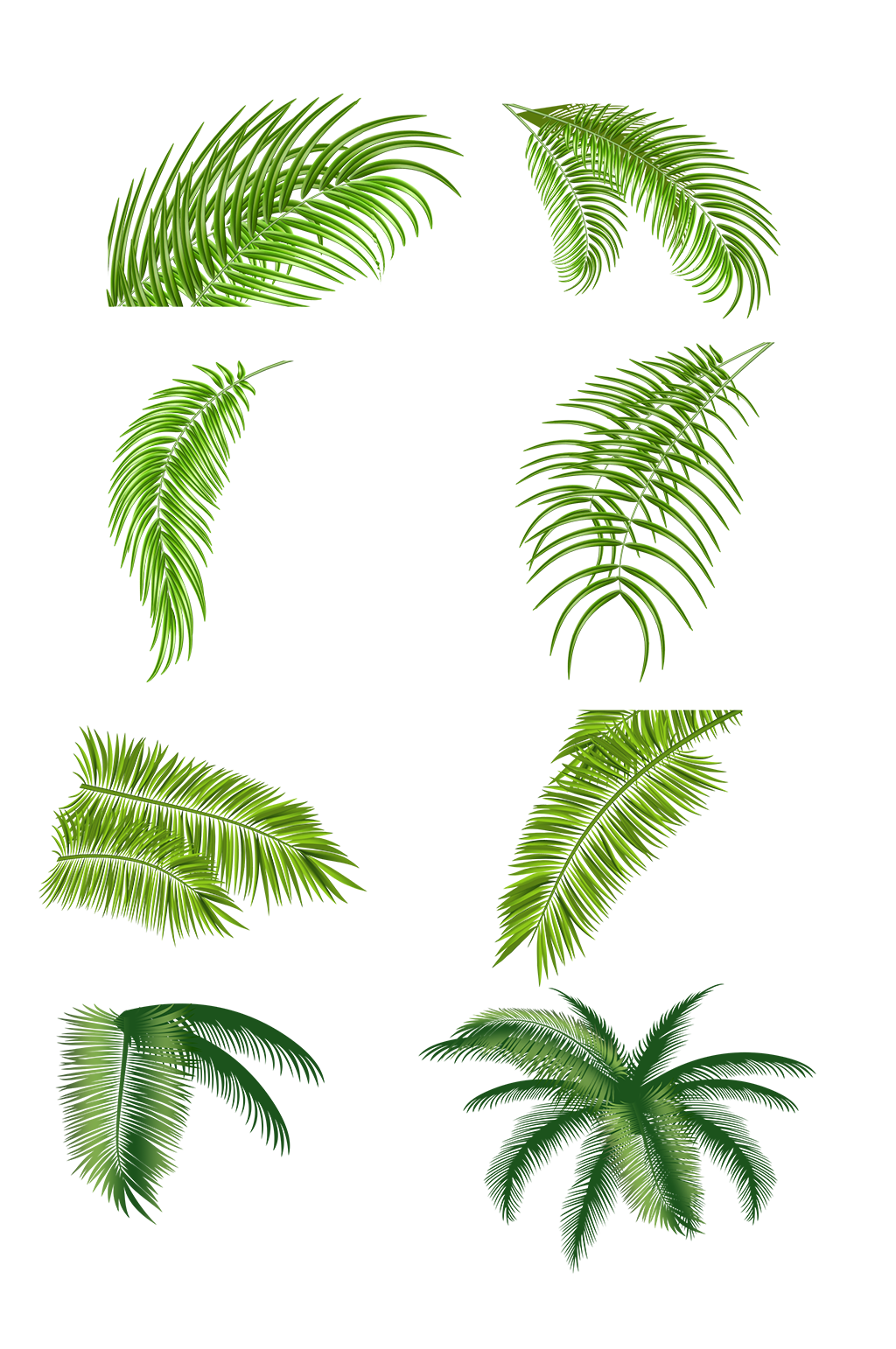 植物叶子绿色免扣素材素材