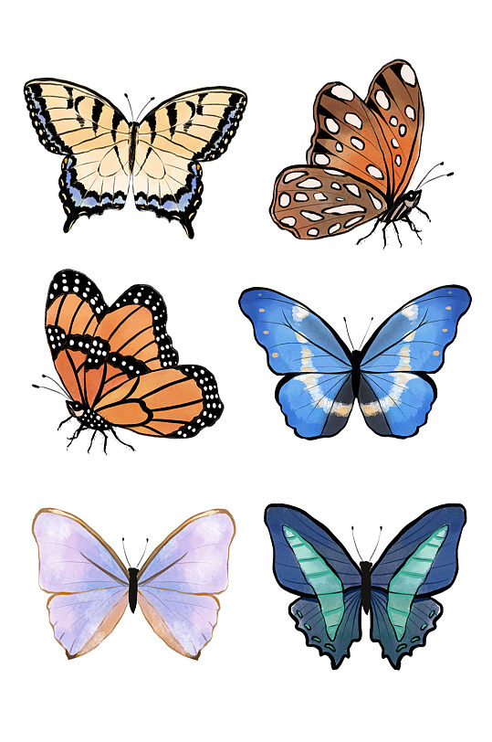 飞蛾图片-飞蛾素材下载-众图网