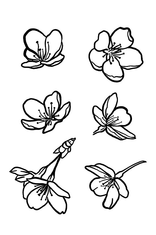 樱花涂鸦黑白线稿桃花