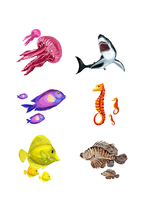 手绘水彩海洋生物设计元素