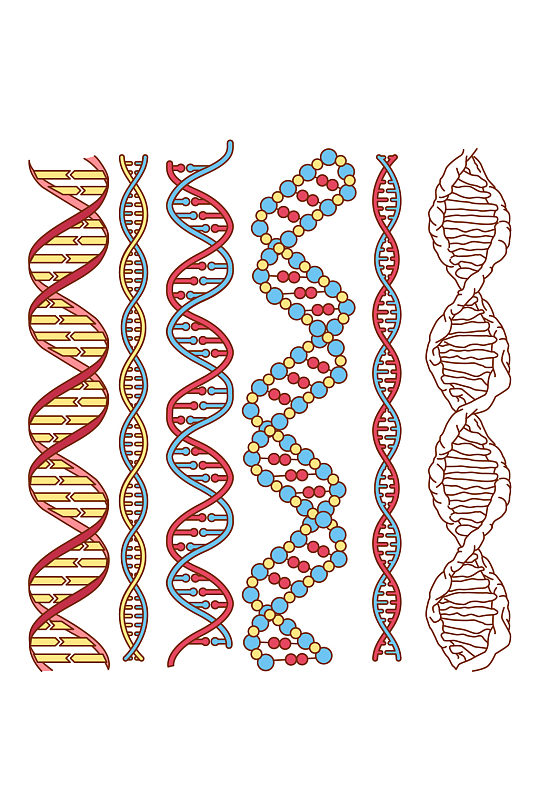 dna基因链染色体