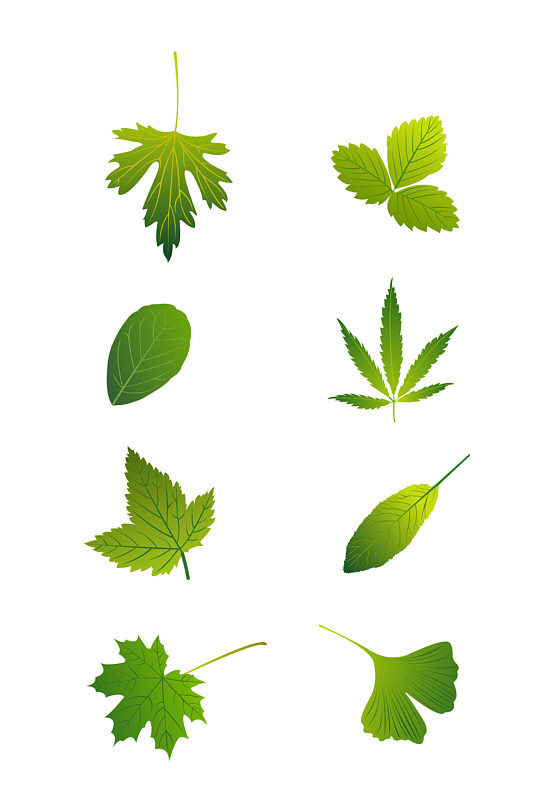 绿色装饰矢量图图片-绿色装饰矢量图设计素材-绿色装饰矢量图模板下载