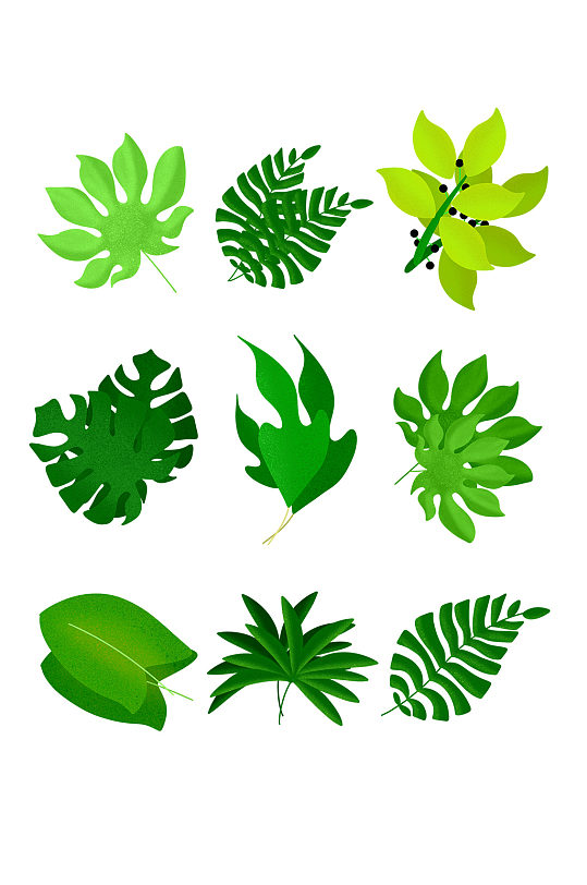 卡通热带风叶子矢量图