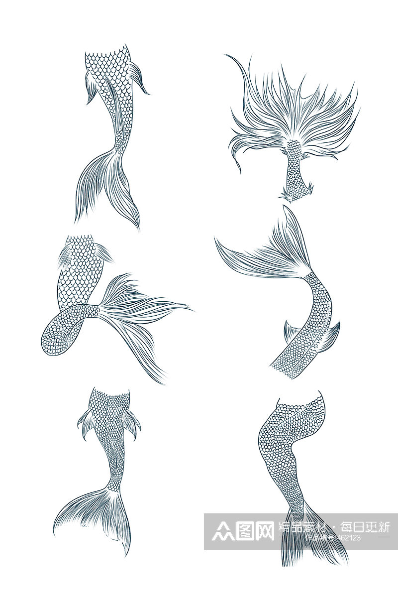黑白插画风格美人鱼纹身素材