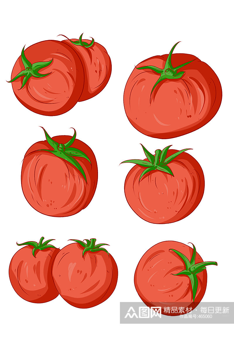 美食食材西红柿插画素材