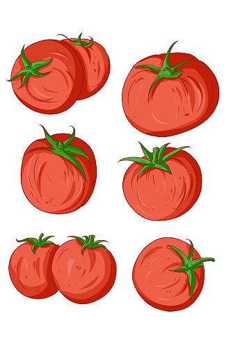 美食食材西红柿插画