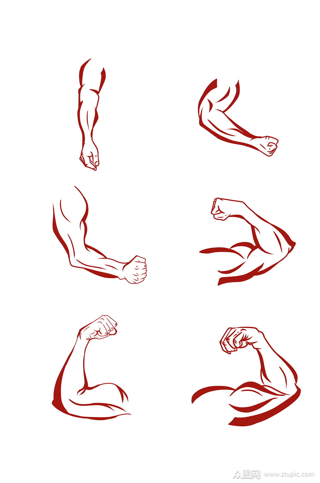 创意线条简约手绘肌肉