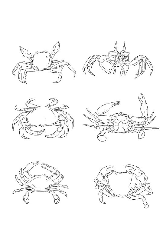 螃蟹手绘线稿素材