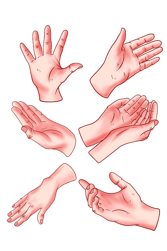 手绘人体器官手插画