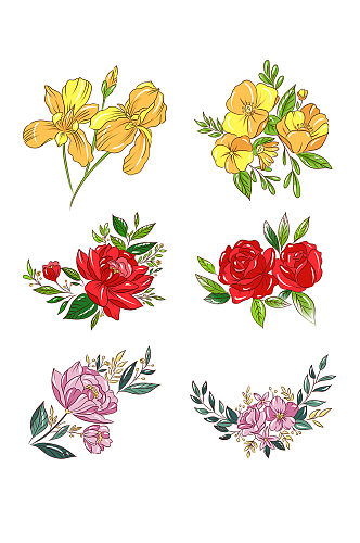 手绘植物花卉花束