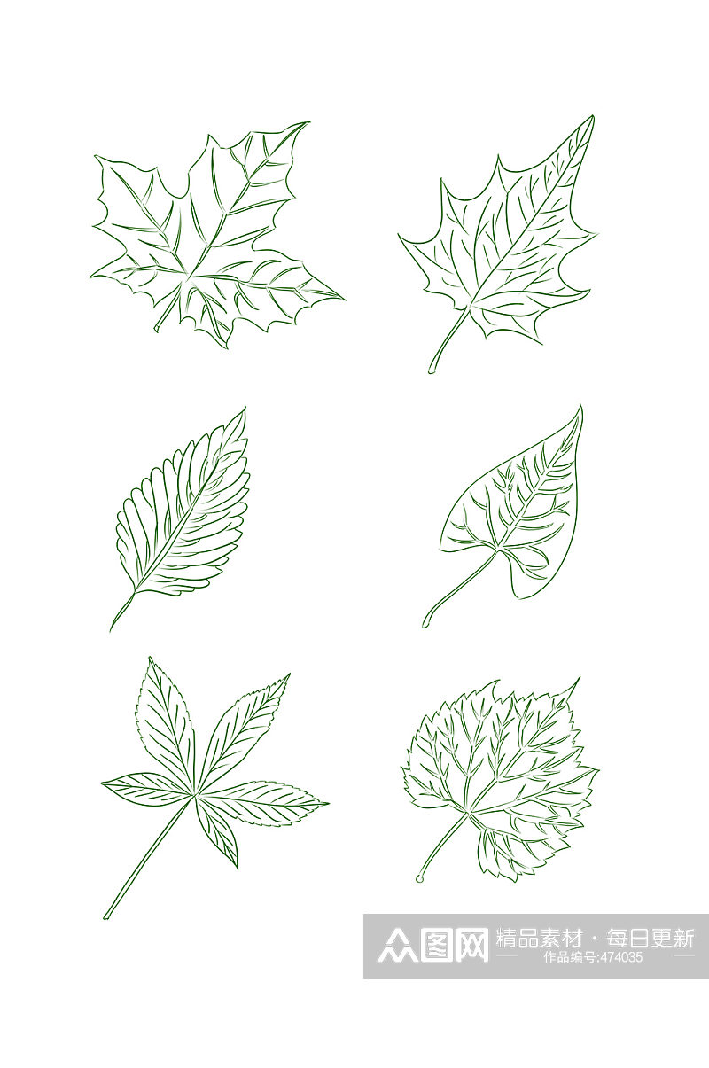 植物素材手绘绿叶可商用素材