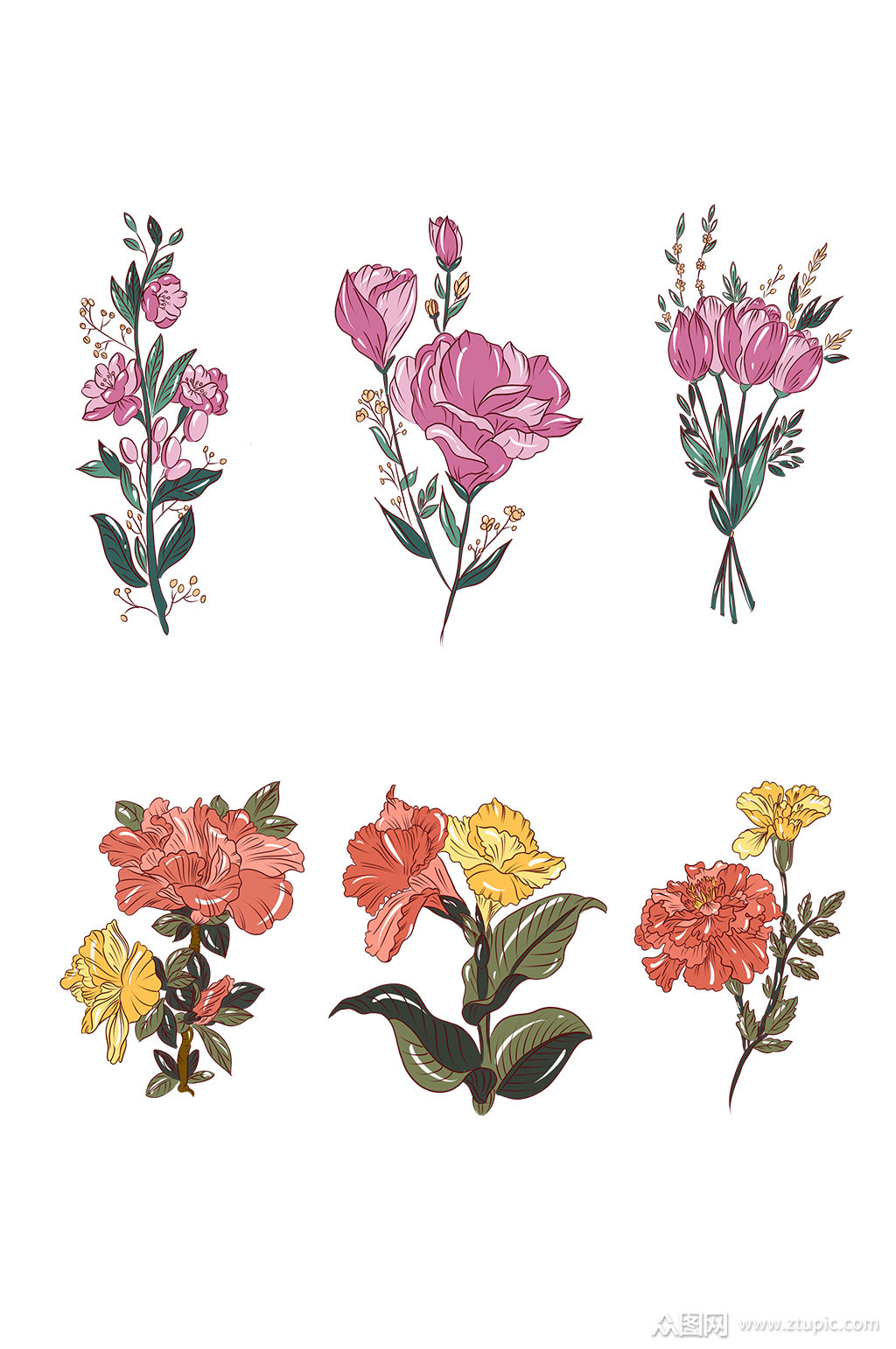植物手绘花传统花卉素材