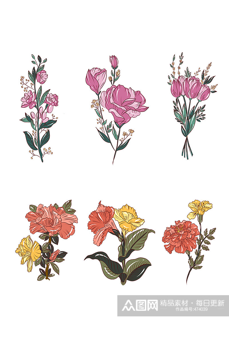 植物手绘花传统花卉素材