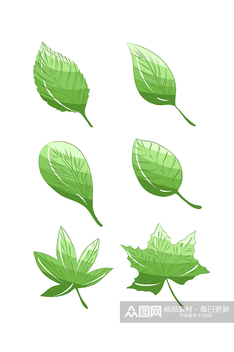 手绘绿色植物绿色的叶子素材