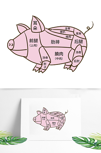 手绘矢量猪肉部位分解图