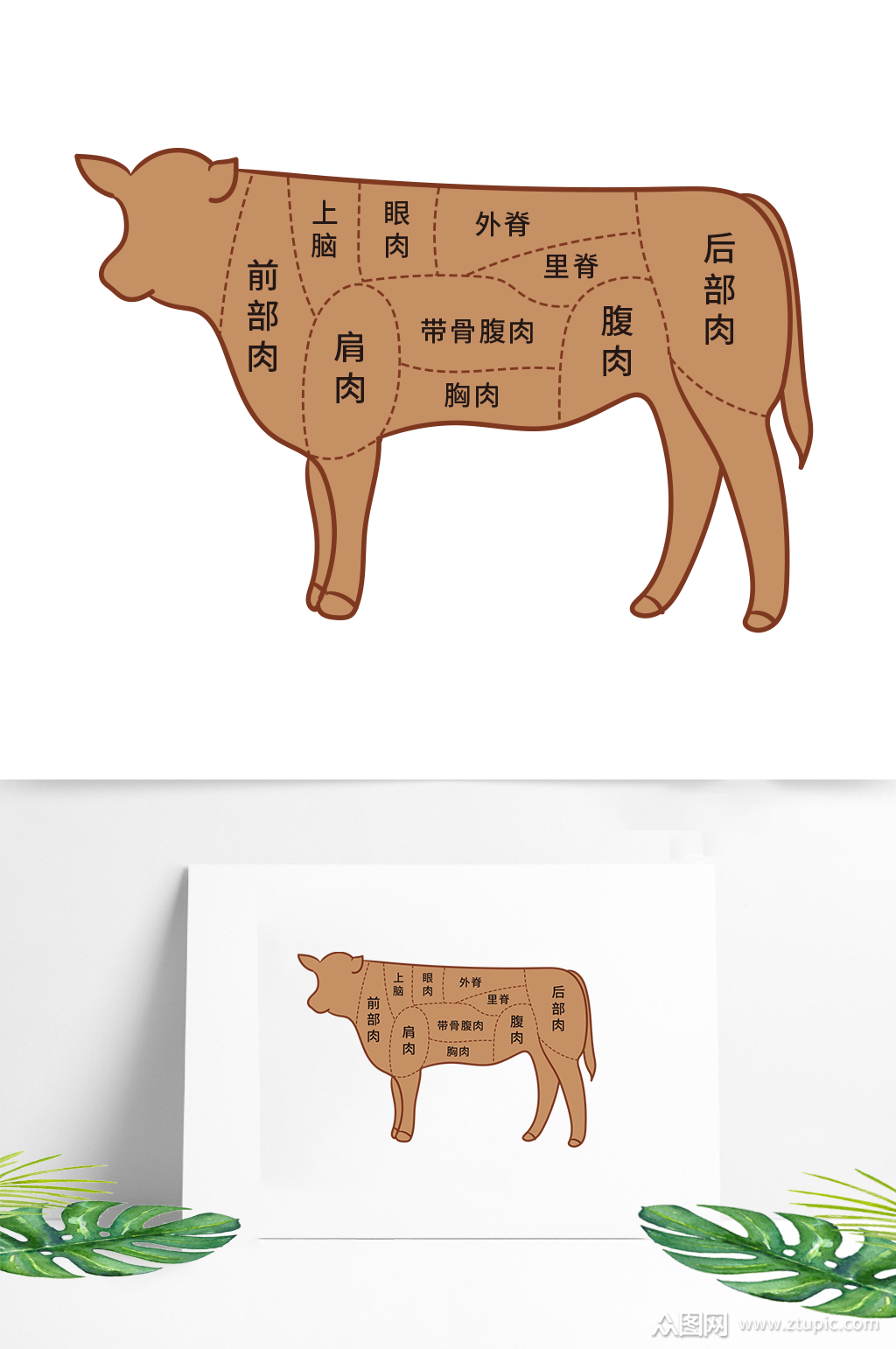 矢量手绘牛肉部位分解图素材