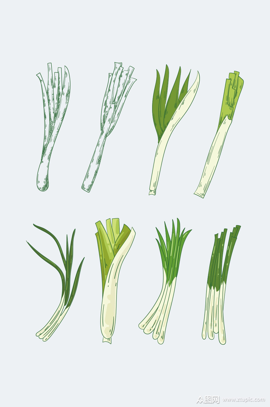 手绘矢量调料葱装饰素材
