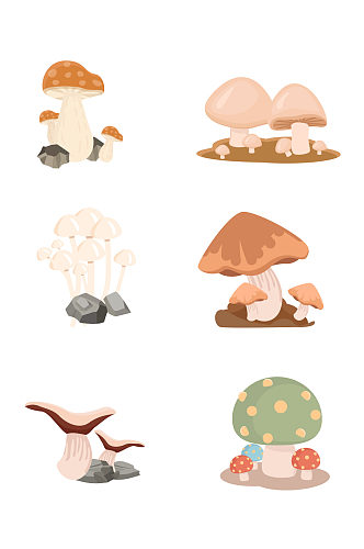 一堆菌菇png蘑菇