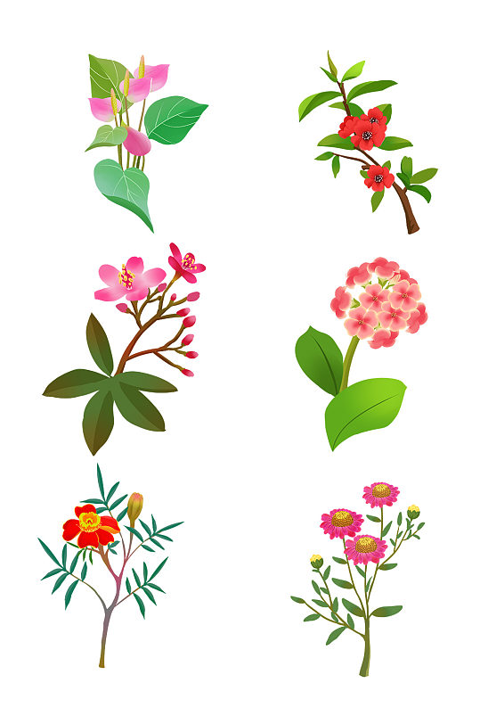 手绘自然花朵花卉植物装饰