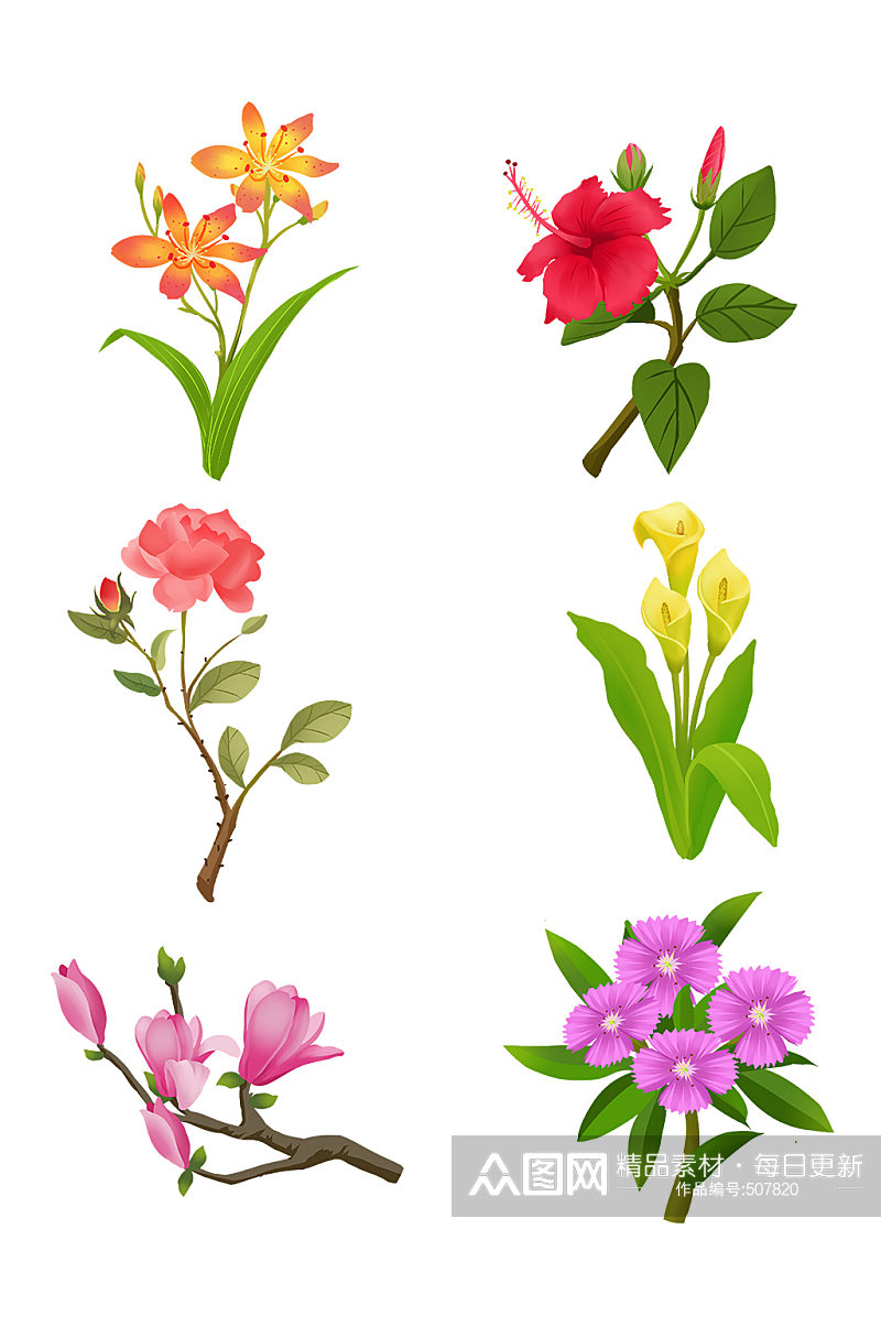 花朵花卉自然植物装饰素材