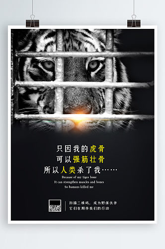 摄影图保护野生动物公益海报