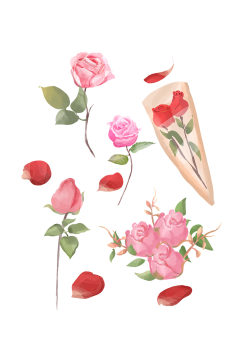 结婚邀请用手画玫瑰 婚礼花卉元素