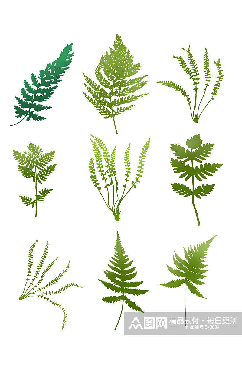 手绘绿色蕨类植物叶子可商用素材