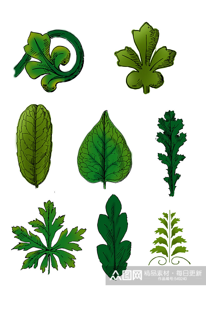 手绘绿色植物叶子素材