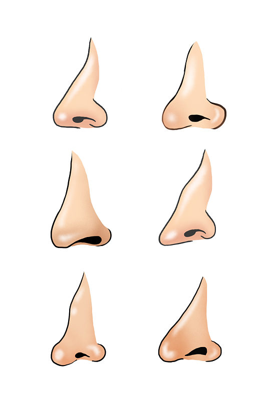 各个鼻型的卡通鼻子