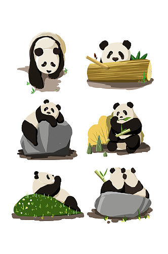 仿真大熊猫动物PNG免抠图