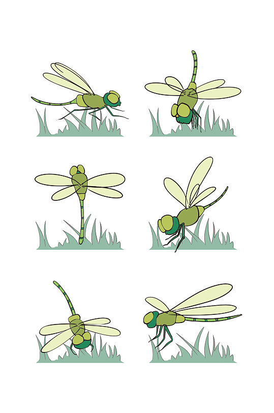 卡通昆虫蜻蜓图片 卡通昆虫蜻蜓素材下载 众图网