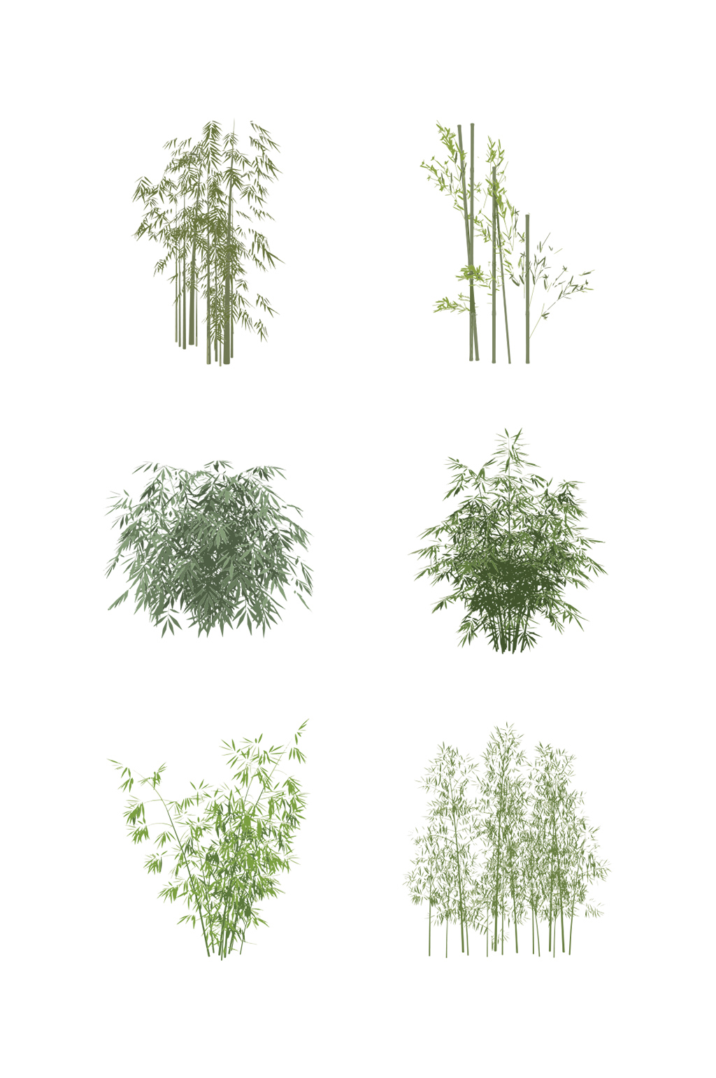 竹子平面图图例图片