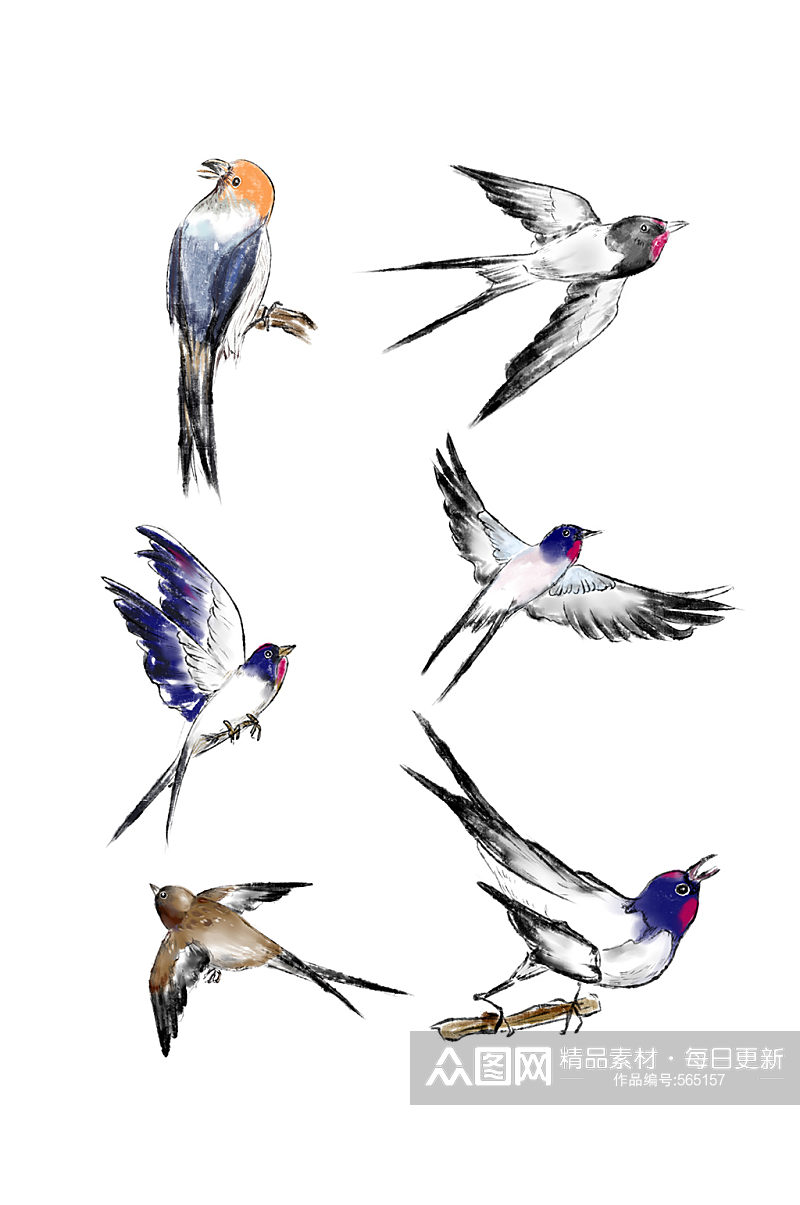 鸟类水墨画国画水彩春分燕子麻雀八哥动物素材