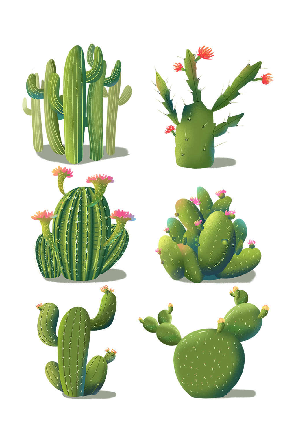 仙人掌手绘植物素材模板下载 编号 众图网