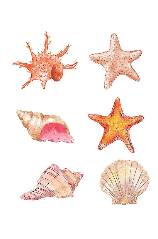 水彩海洋贝壳海螺