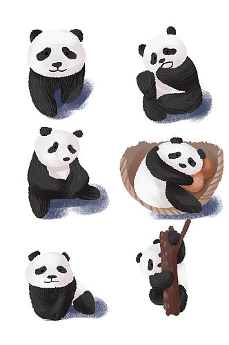 可爱动物熊猫国宝手绘自然