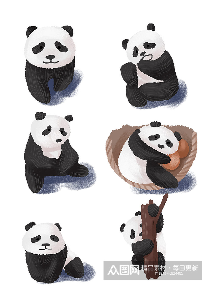 可爱动物熊猫国宝手绘自然素材