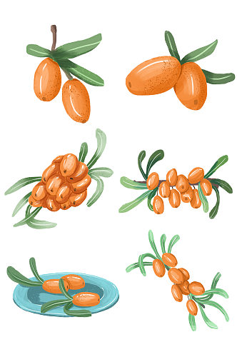 水果养生沙棘美食食物套图手绘