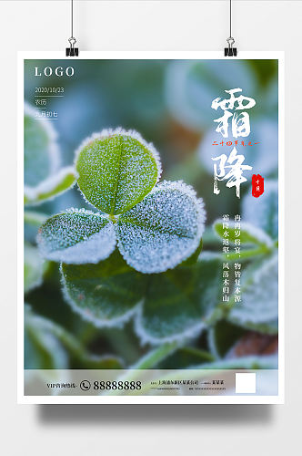 清新简约植物霜降海报二十四节气海报