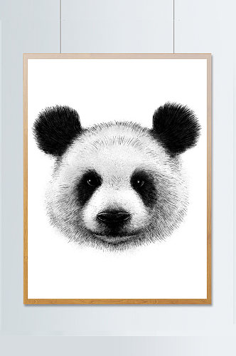 熊猫手绘插图包装设计永图