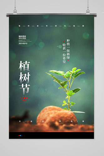摄影创意简约植树节公益宣传海报设计