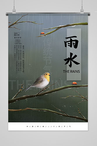 雨水二十四节气海报