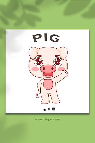 猪十二生肖动物元素插画