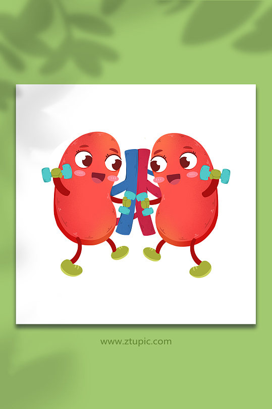 肾运动健康医疗人体器官元素插画-众图网