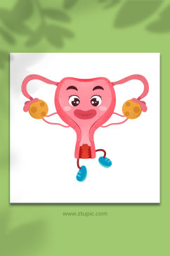 子宫运动健康医疗人体器官元素插画