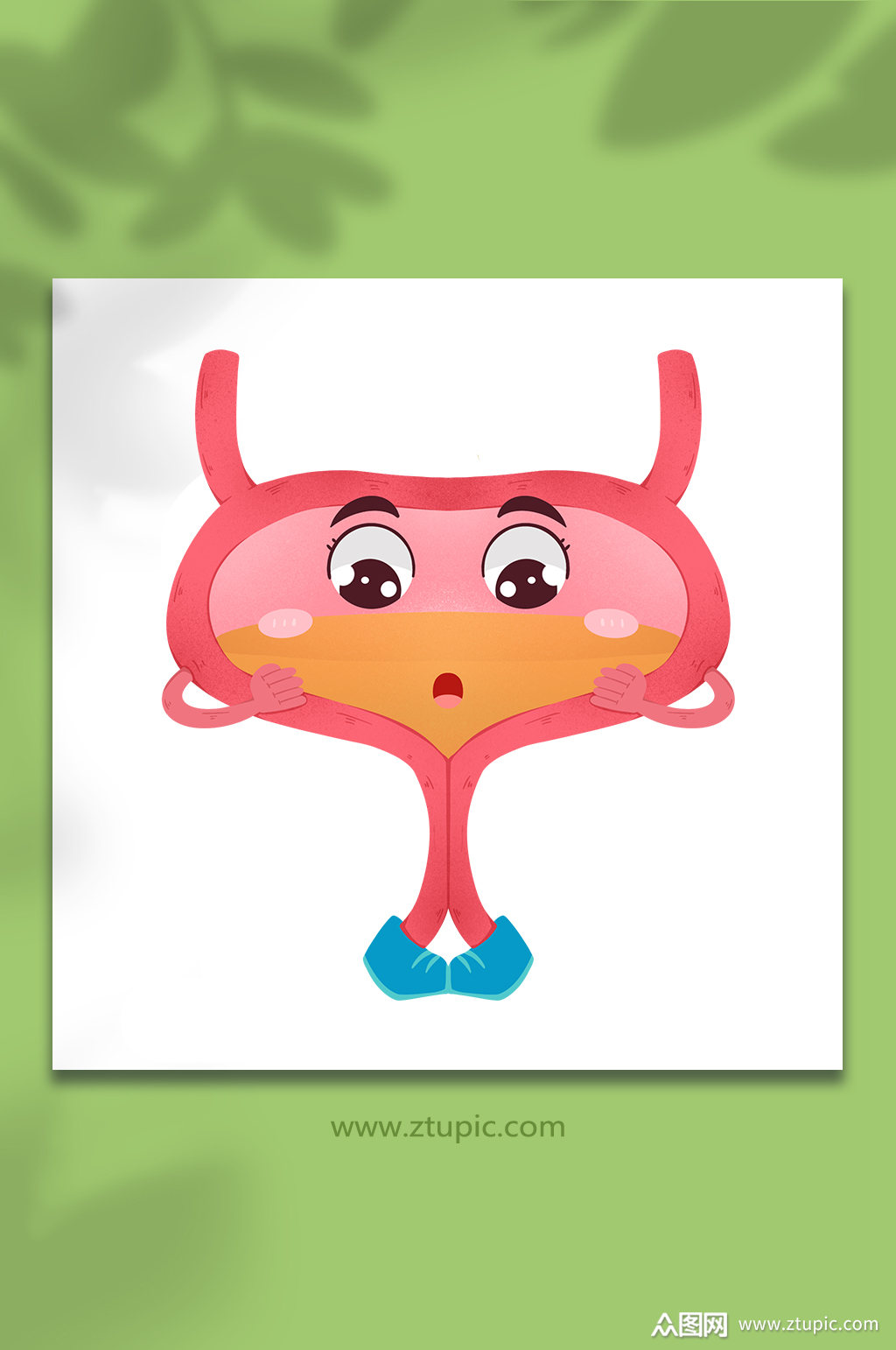 膀胱运动健康医疗人体器官元素插画素材