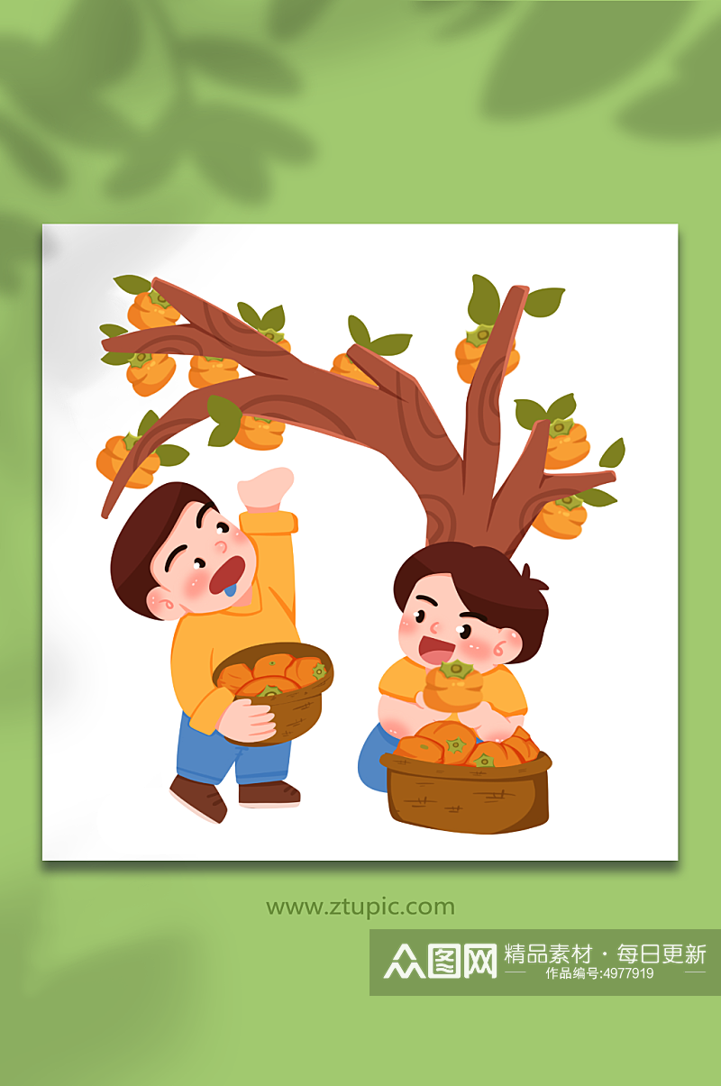 柿子树卡通立秋节气秋季元素插画素材