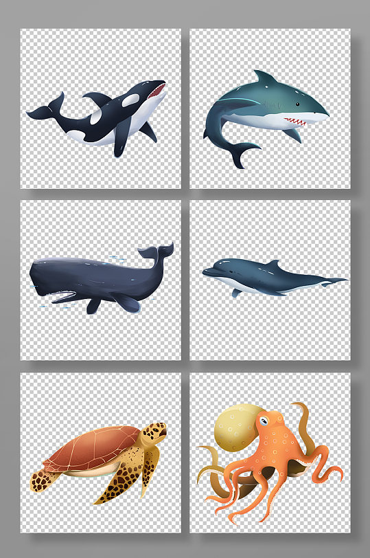 可爱鲸鱼海豚鲨鱼虎鲸卡通海底动物元素插画