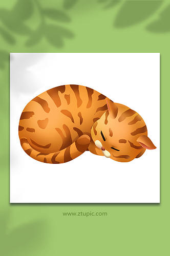 可爱胖橘猫宠物猫狗元素插画