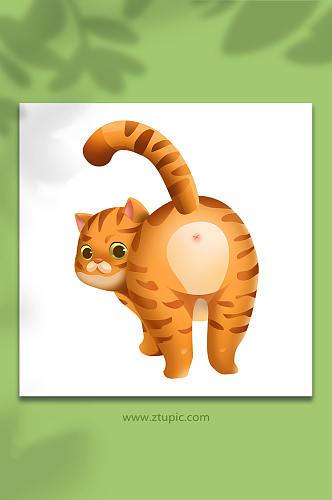 可爱胖橘猫宠物猫狗元素插画